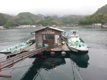 夢の階段-井伊渡船