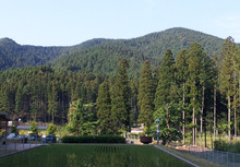 夢の階段-久万高原町