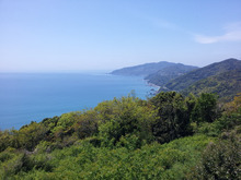 夢の階段-快晴の佐田岬半島