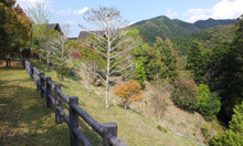 宇目の駅