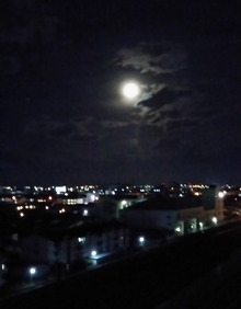 月の光
